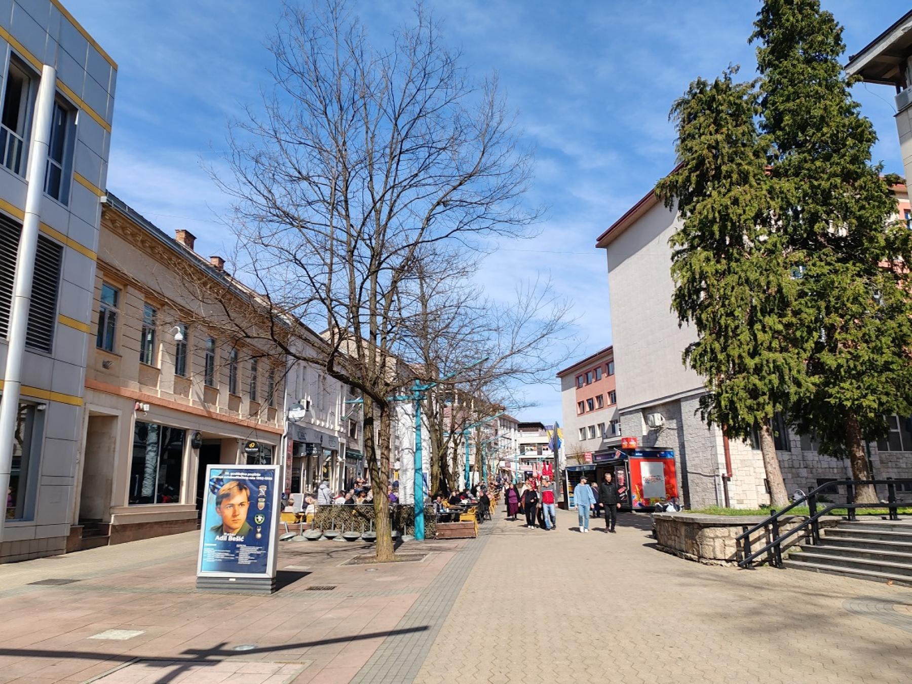 Raspisani izbori za savjete i predsjednike mjesnih zajednica u Bihaću