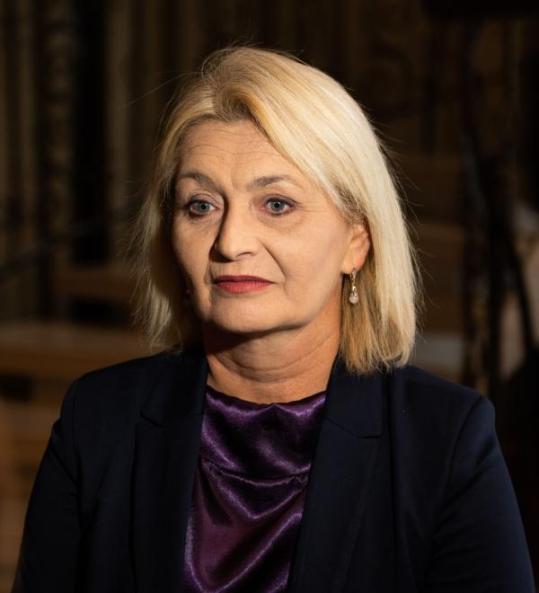 Kuća bez straha: 20 godina borbe protiv porodičnog nasilja